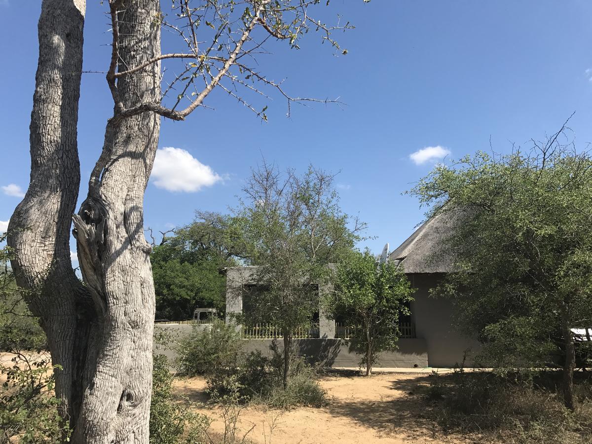 Leadwood Lodge Hoedspruit Exteriér fotografie